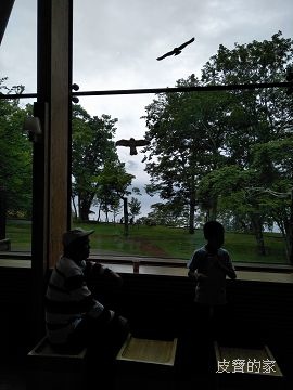 IMG20180704131010.jpg