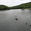IMG20180704143729.jpg