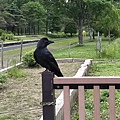IMG20180704144001.jpg