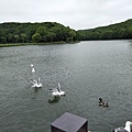 IMG20180704143734.jpg