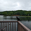 IMG20180704143945.jpg