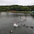 IMG20180704143735.jpg