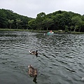 IMG20180704144909.jpg