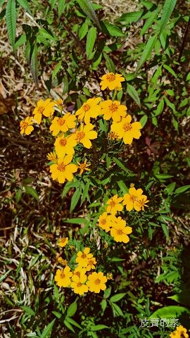IMG20191123091816.jpg
