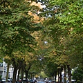 Wiesbaden