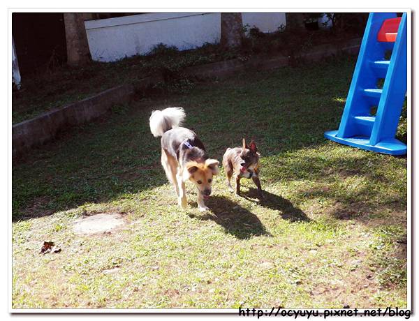 SAM_7368.jpg SAM_7368.jpg