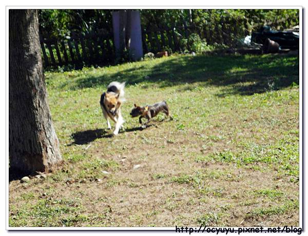 SAM_7369.jpg SAM_7369.jpg