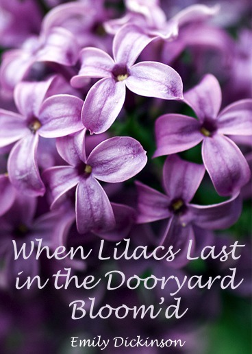 When_Lilacs_Last_in_the_Dooryard_Bloom