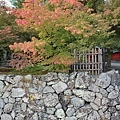 天龍寺外面一抹的小楓紅