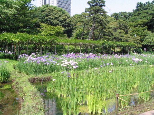 070602小石川樂園-14