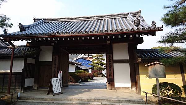 DSC_0174.JPG DSC_0174.JPG