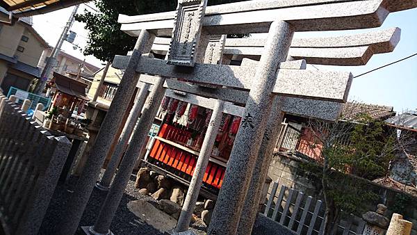 DSC_0379.JPG DSC_0379.JPG