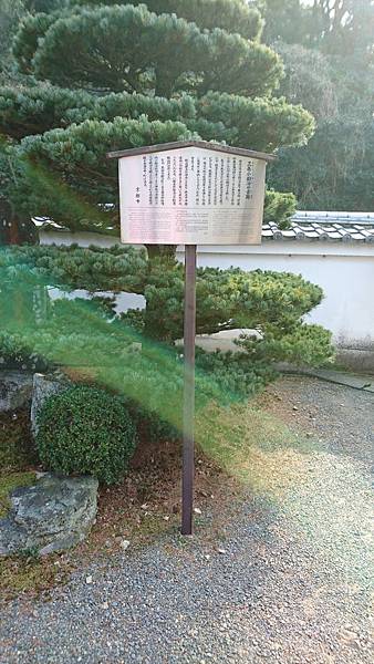 DSC_0362.JPG DSC_0362.JPG