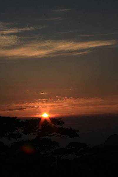IMG_1192 IMG_1192