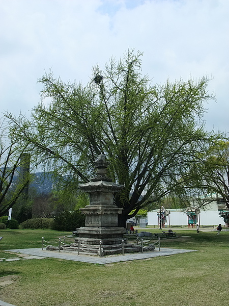 DSCF5159.jpg