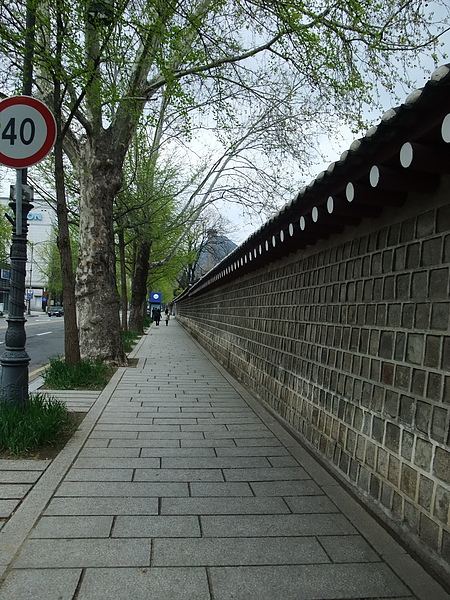 DSCF5156.jpg