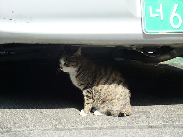 DSCF5412.JPG