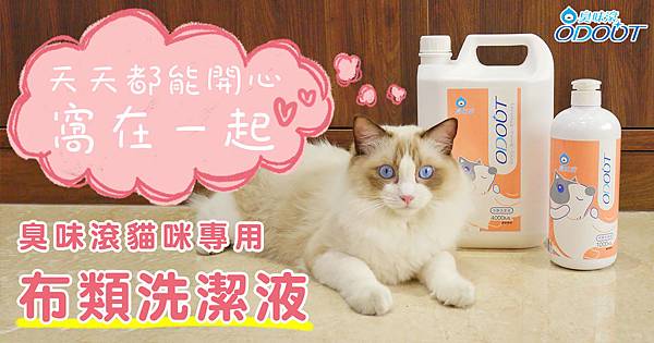 odout臭味滾貓咪專用布類洗潔液情境.jpg odout臭味滾貓咪專用布類洗潔液情境.jpg