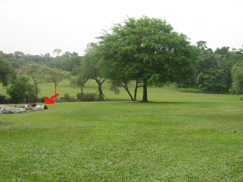 2010-公園侶.jpg