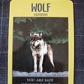 Power Animal Oracle Cards-5