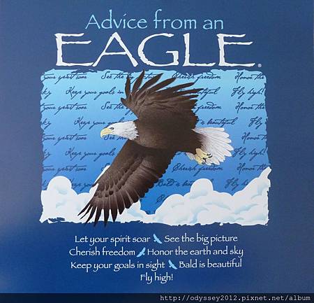 Advice from eagle-1