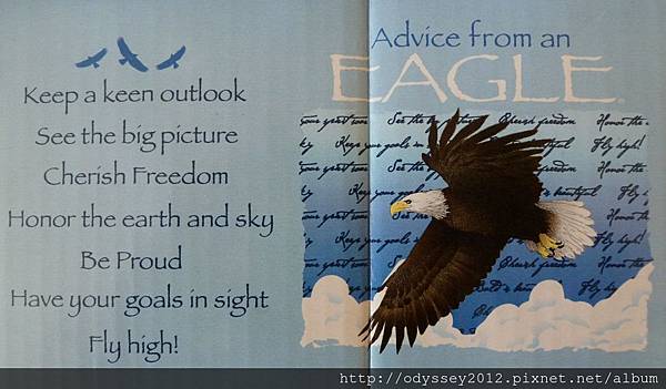 Advice from eagle-2