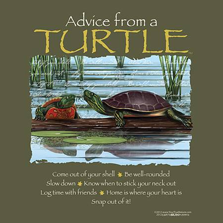 Advice from turtle