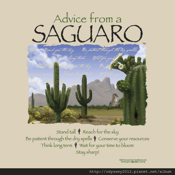 Advice from saguaro