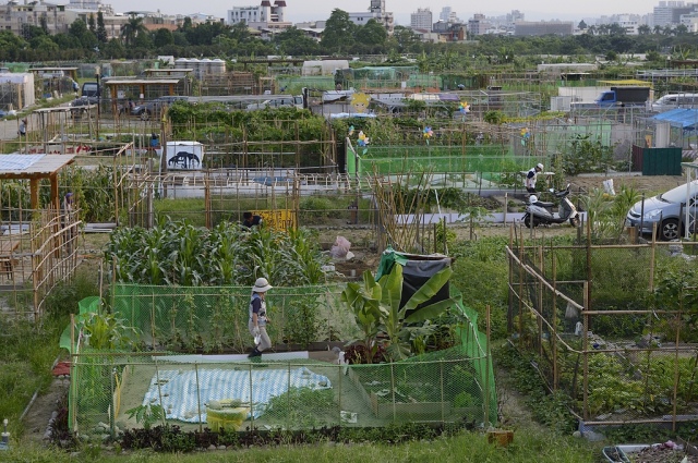 城市農夫