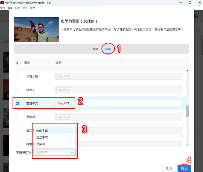 MovPilot-Netflix-Video-Downloader .jpg