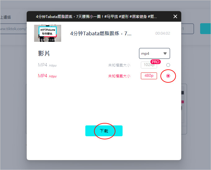 VideoHunter-TikTok-Downloader-影片下載器.jpg