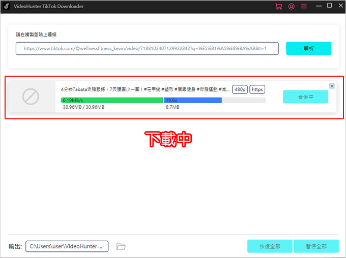 VideoHunter-TikTok-Downloader-影片下載器.jpg