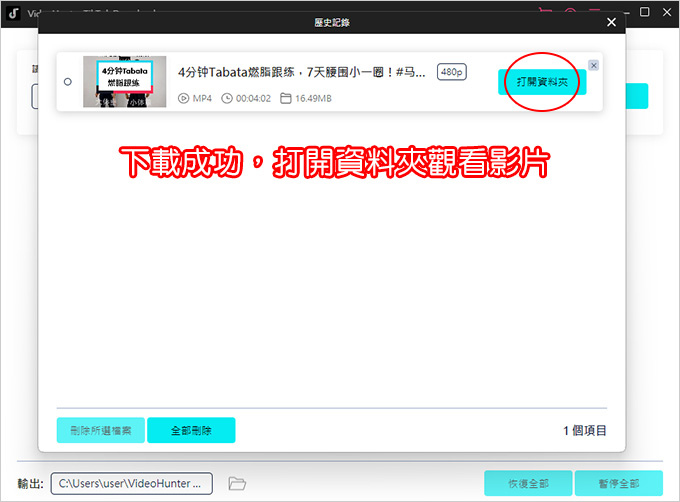 VideoHunter-TikTok-Downloader-影片下載器.jpg