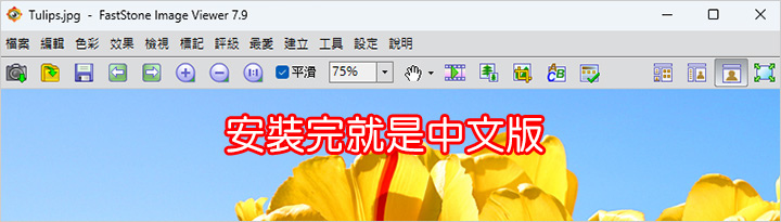 【免費常用軟體】看圖軟體：FastStone Image V