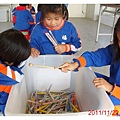 2011-11-22釣鉛筆魚-6.JPG