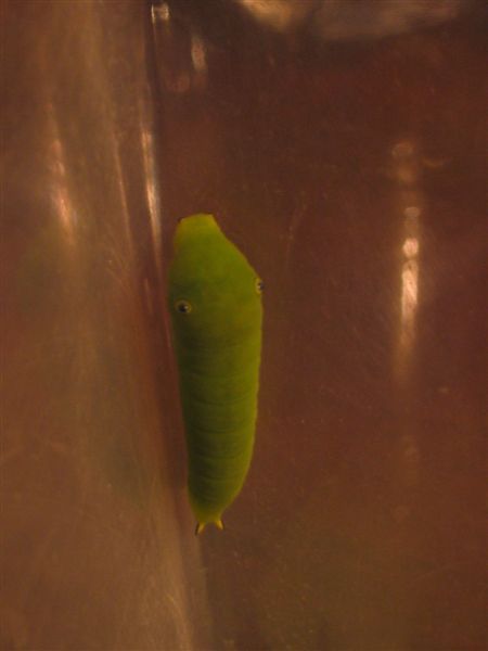 2005東部之旅 094.jpg