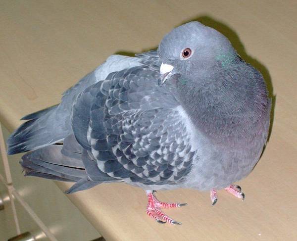 9d2da6e3a7f99dc034211e133ff8e479