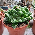 20190121_131229.jpg