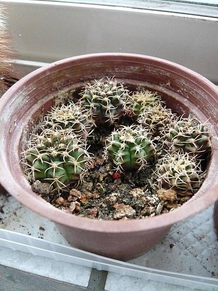 2012/7/22 還在新竹時