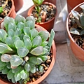 20190201_090903.jpg