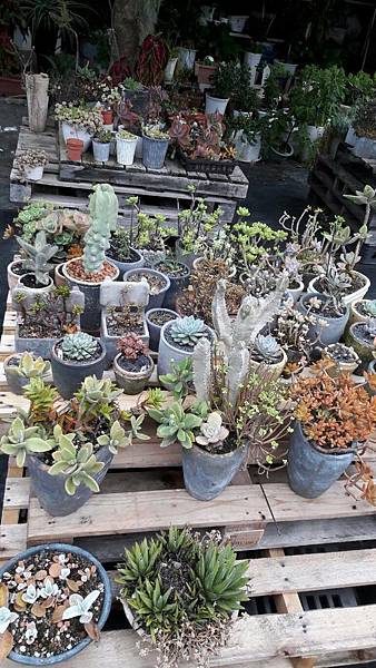 20181125_老闆的非賣品