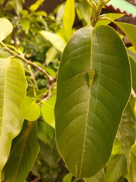 20190909_160214 20190909_160214