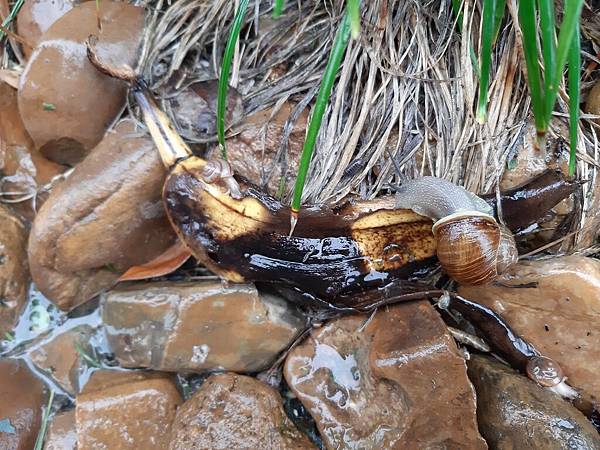 20200304_093229 Houston TX US