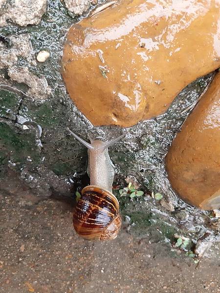 20200304_093327 Houston TX US