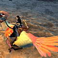 Chocobo3.PNG