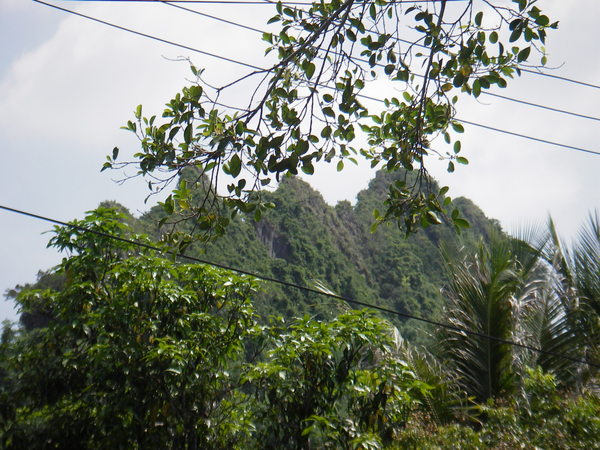 雞冠山