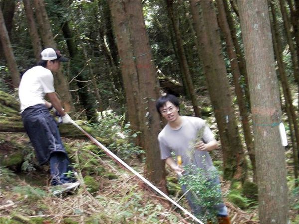 雖然這幾天都是作一樣的事