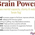 brain power