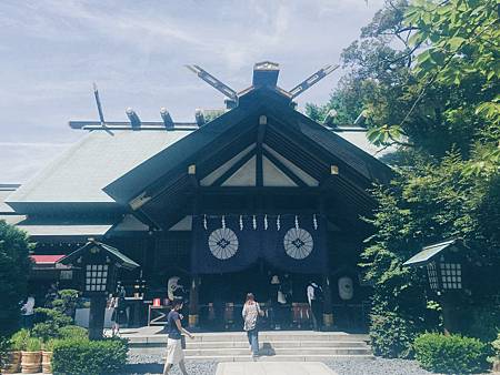 IMG_8162.JPG IMG_8162.JPG