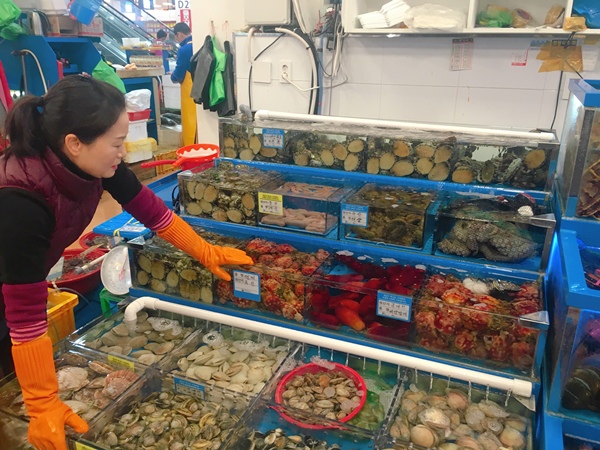 IMG_4203-1.JPG IMG_4203-1.JPG